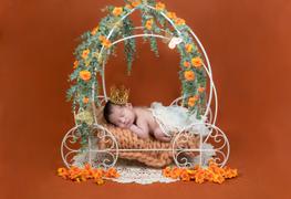 Newborn Studio Props Wire Pumpkin Carriage - Model 1 Review