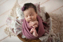 Newborn Studio Props Mohair Flower Headband - Dark Violet Review