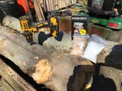 North Spore Shiitake Mushroom Outdoor Log Growing Kit Review