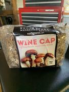 North Spore Wine Cap Mushroom Sawdust Spawn Review