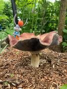 North Spore Wine Cap Mushroom Sawdust Spawn Review