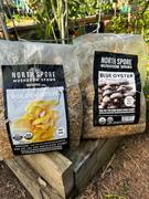 North Spore Organic Blue Oyster Mushroom Grain Spawn Review