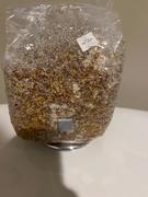 North Spore Organic Sterilized Grain Bag with Injection Port Review