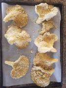 North Spore Italian Oyster Mushroom Grow Kit Fruiting Block Review