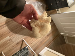 North Spore Lion's Mane Mushroom Grow Kit Fruiting Block Review