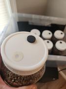 North Spore Adhesive 0.22 Micron Filters for Culture Jar Lids Review
