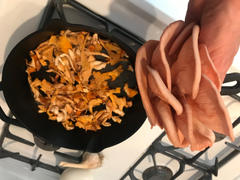 North Spore Organic Pink Oyster Mushroom Grow Kit Fruiting Block Review