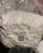 North Spore Boomr Bag Monotub Mushroom Grow Kit Review
