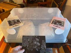 North Spore Fruiting Block Mushroom Monotub Grow Kit Review