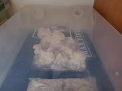 North Spore Fruiting Block Mushroom Monotub Grow Kit Review