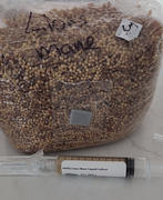 North Spore Lion's Mane Mushroom Liquid Culture Syringe Review