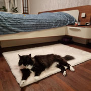 WoollyFluff Super Soft Extra Thick Rectangular Rabbit Fur Area Rug Review