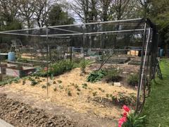 Knowle Nets Aluminium Walk-in Fruit Cage Review