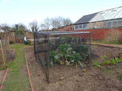 Knowle Nets Aluminium Vegetable Cage Review