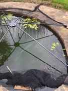 Agriframes Universal Pond Cover Review