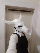 Wintercroft Bull Skull Mask Review
