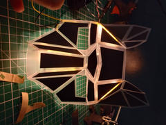 Wintercroft Fox Half Mask Review