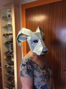 Wintercroft Ram Mask Review