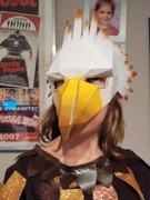 Wintercroft Bird Mask Review