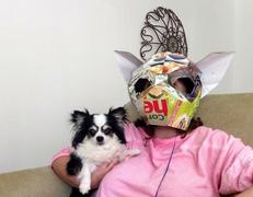 Wintercroft Chihuahua Dog Mask Review