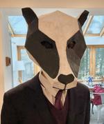 Wintercroft Badger Mask Review