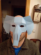 Wintercroft Elephant Half Mask Review