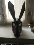 Wintercroft Hare Trophy Mask Review
