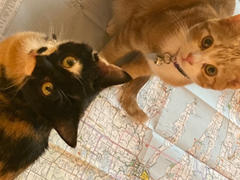 Maps.com Traverse City, Michigan, Vicinity by GM Johnson Review