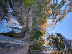 Maps.com Savannah, GA & Hilton Head, SC by GM Johnson Review