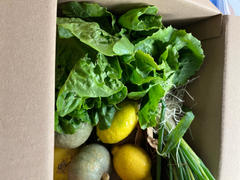 The Ecology Center Harvest Box - Subscription Review