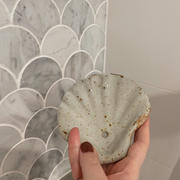 Bluem Seashell ~ Soap Vessel Review