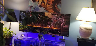 touchstonehomeproducts.com The Onyx Mirror Glass 80008 50 Inch Wall Mounted Electric Fireplace Review