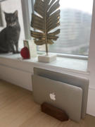 Oakywood Dual vertical laptop stand Review