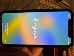 Distil Union Wally Case iPhone 12 Review