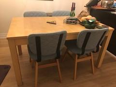 DesignRepublic Hazal Dining Chair - Light Blue Floor Model Review
