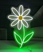 Color & Light Daisy 1 - LED Neon Sign Review