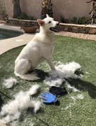 Doggykingdom Gentle Deshedding Dog Brush Glove by Doggykingdom® Review