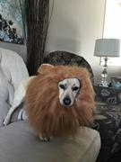 Doggykingdom Lion Mane Costume by Doggykingdom® Review