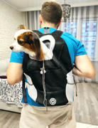 Doggykingdom Lifetime Warranty Doggykingdom® Dog Backpack Review