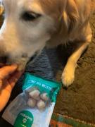 GoDoggy ヒマラヤ産ヤクチーズポップ 12個入り100g Review