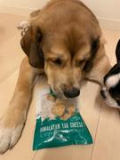 GoDoggy ヒマラヤ産ヤクチーズポップ 12個入り100g Review