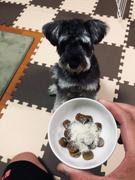 GoDoggy ヒマラヤ産ヤクチーズふりかけ 50g Review