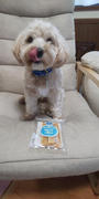 GoDoggy ミルキーチュー チーズスティック (S) - 3本入り Review
