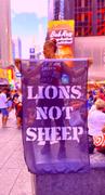 Lions Not Sheep LIONS NOT SHEEP OG Basketball Jersey Review