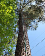 ROPE.com 24-Strand Arborist Climbing Rope Review