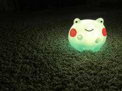 Shopzoki Ebbo Frog Night Light Review