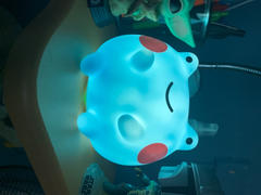 Shopzoki Pastel Ebbo Frog Night Light Review