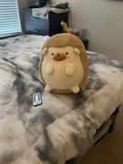 Shopzoki Heji Hedgehog Heatable Plush Review