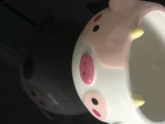 Shopzoki Cow Planter Review