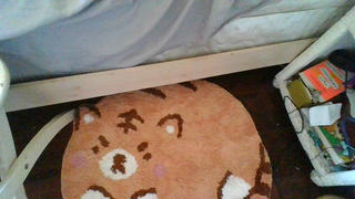 Shopzoki Tiger Rug Review